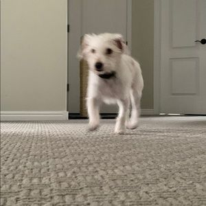 Meet your Posher, Ashlynn